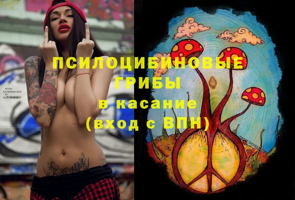 кокаин Белокуриха