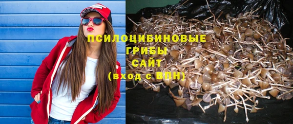 PSILOCYBIN Беломорск