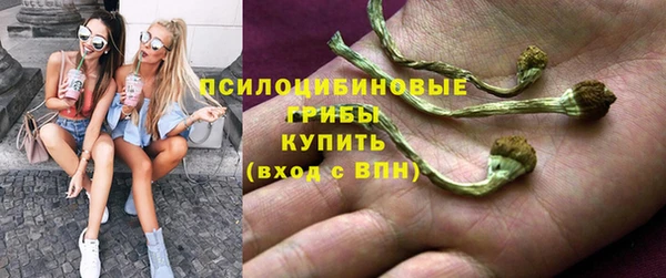 PSILOCYBIN Беломорск