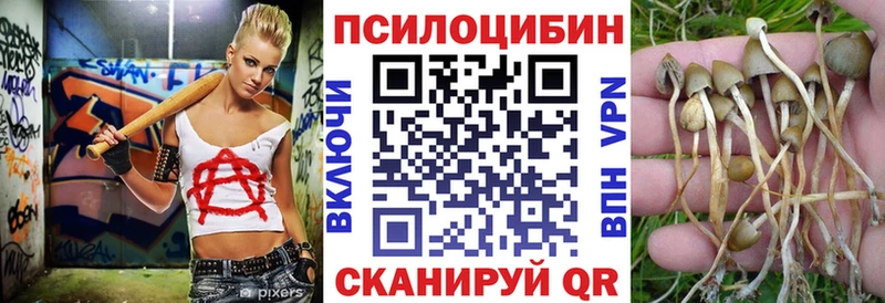 что такое   Юрьевец  Галлюциногенные грибы Psilocybe 